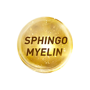 MYELIN