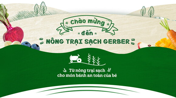 banh-gao-gerber_5